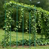 image:imageVEVOR Garden Stakes 25 Pack 7087 inch Plastic Coated Metal Tomato Stakes Garden Sticks for Plants Support with Pointed End and NonSlip Bumps for Growing Climbing Plants Outdoor Vegetables21m11mm
