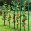 image:imageVEVOR Garden Stakes 25 Pack 7087 inch Plastic Coated Metal Tomato Stakes Garden Sticks for Plants Support with Pointed End and NonSlip Bumps for Growing Climbing Plants Outdoor Vegetables18m11mm