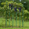 image:imageVEVOR Garden Stakes 25 Pack 7087 inch Plastic Coated Metal Tomato Stakes Garden Sticks for Plants Support with Pointed End and NonSlip Bumps for Growing Climbing Plants Outdoor Vegetables24m20mm