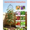 image:imageVEVOR Garden Trellis 87 x 20 inch Rose Trellis 2 Packs Garden Flower Rose Trellises with PowderCoated Finish amp Convenient Locking Design Plant Support Trellises for Flowers Vegetables Roses6 PacksStyle2