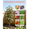 image:imageVEVOR Garden Trellis 87 x 20 inch Rose Trellis 2 Packs Garden Flower Rose Trellises with PowderCoated Finish amp Convenient Locking Design Plant Support Trellises for Flowers Vegetables Roses2 PacksStyle2