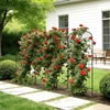 image:imageVEVOR Garden Trellis 87 x 20 inch Rose Trellis 2 Packs Garden Flower Rose Trellises with PowderCoated Finish amp Convenient Locking Design Plant Support Trellises for Flowers Vegetables Roses4 PacksStyle2