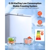 image:imageVEVOR Chest Freezer 67 Cuft Compact Deep Freezer Free Standing Top Open Door Chest Freezers with 2 Removable Baskets amp Adjustable Thermostat  Energy Saving Low Noise amp Garage Ready WhiteWhite