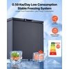 image:imageVEVOR Chest Freezer 67 Cuft Compact Deep Freezer Free Standing Top Open Door Chest Freezers with 2 Removable Baskets amp Adjustable Thermostat  Energy Saving Low Noise amp Garage Ready WhiteBlack