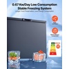 image:imageVEVOR Chest Freezer 67 Cuft Compact Deep Freezer Free Standing Top Open Door Chest Freezers with 2 Removable Baskets amp Adjustable Thermostat  Energy Saving Low Noise amp Garage Ready WhiteBlack