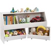 5-cubby With 2 Mobile Drawers
