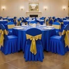 image:imageVEVOR Chair Covers Polyester Spandex Chair Cover Stretch Slipcovers for Wedding Party Dining Banquet FlatFront Chair Covers Whitea 53PCSRoyal Blued