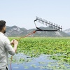image:imageVEVOR 32 in Aquatic Weed Rake 63 in Double Sided Lake Weed Rake Lightweight Pond Weeds Cutter with 30ft Rope No Assembly Required Muck Lilypad Clearing Tool for Pond Lake Rivulet32in