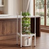 image:imageVEVOR Hydroponic Tower 50 Pods 10 Tiers Hydroponics Growing System Kit with App Control amp Casters Vertical Home Garden with 20L Water Tank amp Pump Planter for Indoor Herbs Fruits and VegetablesPro6 Tiers30 PodsWith Grow Light