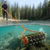 image:imageVEVOR Lake Weed Roller 18 ft Lake amp Pond Weed Removal Tool Muck Razer Aquatic amp Sludge Tiller Rid Roots and Muck Buildup 6 Preassembled Stainless Steel Blades 5 Aluminum Handles Easy Assembly12ft