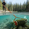 image:imageVEVOR Lake Weed Roller 18 ft Lake amp Pond Weed Removal Tool Muck Razer Aquatic amp Sludge Tiller Rid Roots and Muck Buildup 6 Preassembled Stainless Steel Blades 5 Aluminum Handles Easy Assembly20ft