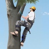 image:imageVEVOR Tree Climbing Spikes 1 Pair HeightAdjustable Climbing Spurs 350lbs Load Capacity Tree Climbing Gear with Straps Arborist Equipment for Climbers Hunting Fruit PickingNavy Blue Basic