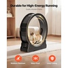 image:imageVEVOR Cat Exercise Wheel 48 in Wooden Cat Running Wheel for Indoor Cats up to 28 lbs Cats Treadmill with Carpeted Runway amp Locking Mechanism Quiet Roller Kitten Sport Toys for Pets Fitness amp HealthJet Black