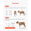 image:imageVEVOR Dog Wheelchair for Back Legs Lightweight 2 Wheels Pet Wheelchair Height Width amp Length Adjustable Dog Cart with ShockAbsorbing Wheels for Injured Disabled DogsMedium up to 22lbs