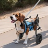 image:imageVEVOR Dog Wheelchair for Back Legs Lightweight 2 Wheels Pet Wheelchair Height Width amp Length Adjustable Dog Cart with ShockAbsorbing Wheels for Injured Disabled DogsSmall up to 22lbs