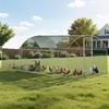 image:imageVEVOR Large Metal Chicken Coop98 x 98 x 66 ft Walkin Chicken Run House with Waterproof Cover amp Sturdy Frame Spire Roof Poultry Cage Duck Pen for Rabbit Hen Goose Outdoor Backyard Farm Use1181L x 2362W x 787H