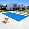 image:imageVEVOR Solar Pool Cover 24 x 12 ft Rectangle Solar Cover 12 mil for Pools Inground Above Ground Swimming Pool Solar Blanket with Bubble Heat Retaining Solar Covers BlueBlue