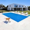 image:imageVEVOR Solar Pool Cover 24 x 12 ft Rectangle Solar Cover 12 mil for Pools Inground Above Ground Swimming Pool Solar Blanket with Bubble Heat Retaining Solar Covers BlueBlue