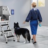 image:imageVEVOR Stainless Steel Dog Washing Station 62 inch Pet Grooming Tub wStairs PE Water Filter Board Faucet amp Showerhead amp Soap Holder Dog Bathtub for Large amp Medium amp Small Pets Right DoorStairs