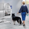 image:imageVEVOR 50 Pet Dog Bathing Station Electric Height Adjustment Professional Stainless Steel Dog Grooming Tub wSoap Box FaucetRich AccessoryBathtub for Multiple Pets Washing Sink for HomeRightRight Door