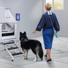 image:imageVEVOR 50 Pet Dog Bathing Station wStairs Professional Stainless Steel Dog Grooming Tub wSoap Box FaucetRich Accessory Dog Bathtub for LargeMediumSmall Pets Washing Sink for Home LeftSilver