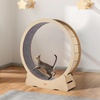 image:imageVEVOR Cat Exercise Wheel Large Cat Treadmill Wheel for Indoor Cats 358 inch Cat Running Wheel with Detachable Carpet and Cat Teaser for RunningWalkingTraining Suitable for Most CatsNatural Wood52in
