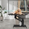 image:imageVEVOR Hydraulic Pet Grooming Table 400LBS Static Load Capacity 425 x 24 Inch Dog Grooming Station with AntiSlip Tabletop and Dual Height Adjustable Arms with Clamps for Medium and Small Dogs