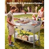 image:imageVEVOR Outdoor Propane Griddle 2 Burners 11600 BTU Each Commercial Stainless Steel Gas Griddle Cart with 4 Lockable Wheels 13 Food Pan EasyGrip Side Handle Ideal for Hot Dogs Burgers amp Meats255938584705