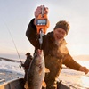image:imageVEVOR Digital Crane Scale 660 lbs300 kg Max Capacity Handheld Hanging Scale with Cast Aluminum Case amp LCD Display 01 lbs Division amp 3 Unit Switch Portable Design for Farm Hunting Fishing Orange