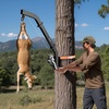 image:imageVEVOR Tree Mounted Deer Hoist 353 lbs Load Capacity Hunting Game Hoist Winch Lift with Ratchet Strap Heavy Duty Deer Hanger for Skinning Cleaning Hanging Feed and Field Dressing Black353 lbs