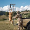 image:imageVEVOR Tripod Deer Hoist Hunting Game Hoist Winch Lift with Gambrel amp Manual Winch Hunting Game Skinning and Cleaning Accessory for Cleaning Skinning and Moving BlackBlack