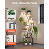 image:imageVEVOR Plant Stand Indoor with Grow Lights 63 in Tall 9Tier Lighted Plant Shelf Metal Corner Plants Holder 3 Timer amp 10 Brightness CurveShaped Flower Display Rack for Living Room Balcony Decor