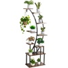 image:imageVEVOR Plant Stand Indoor with Grow Lights 63 in Tall 9Tier Lighted Plant Shelf Metal Corner Plants Holder 3 Timer amp 10 Brightness CurveShaped Flower Display Rack for Living Room Balcony Decor