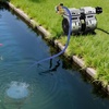 image:imageVEVOR Pond Aerators 67CFM Aeration System for Lakes up to 3 Acres 1 HP Air Compressor 4 Diffusers amp Four 100 Weighted Tubing Outdoor Pond Aeration Pump for Deep Water Oxygen Circulation52CFM1 diffuser