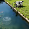 image:imageVEVOR Pond Aerators 67CFM Aeration System for Lakes up to 3 Acres 1 HP Air Compressor 4 Diffusers amp Four 100 Weighted Tubing Outdoor Pond Aeration Pump for Deep Water Oxygen Circulation52CFM1 Nano diffuser