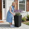 image:imageVEVOR Set of 2 Tall Planters for Outdoor Plants 22 inch Black Tall Planter for Indoor Plants Modern Planters for Front Porch Patio Balcony Plant Container Flower PotsBlack
