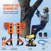 image:imageVEVOR Tree Climbing Spikes Set 1 Pair HeightAdjustable Climbing Spurs with Security Harness and Utility Rope 350lbs Load Capacity Tree Climbing Gear Arborist Equipment for Climbers Fruit PickingOrange