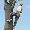 image:imageVEVOR Tree Climbing Spikes Set 1 Pair HeightAdjustable Climbing Spurs with Security Harness and Utility Rope 350lbs Load Capacity Tree Climbing Gear Arborist Equipment for Climbers Fruit PickingGreen
