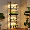 image:imageVEVOR Indoor Greenhouse with Grow Light 59 in Tall 4Tier Plant Stand with Clear Cover Timer amp Hygrometer 180W Full Spectrum Grow Lights Metal Lighted Plants Shelf Holder for Indoor Plants3 Mode Automatic Timer