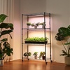 image:imageVEVOR Indoor Greenhouse with Grow Light 59 in Tall 4Tier Plant Stand with Clear Cover Timer amp Hygrometer 180W Full Spectrum Grow Lights Metal Lighted Plants Shelf Holder for Indoor Plants3 Light Modes