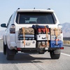 image:imageVEVOR Hitch Cargo Carrier with Bike Racks 62 x 27 x 3 Hitch Mount Cargo Carrier for up to 4 Mountain Bikes 500LBS Capacity HighStrength Steel Rear Luggage Basket Fits 2 Receiver for SUV Pickups62 x 27 x 3 in